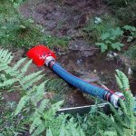 2022-07_29_monatsbung juli_010